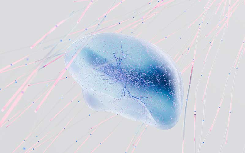 ela-mutacion-genetica-responsable-de-entre-5-y-10-de-casos-de-esclerosis-lateral-amiotrofica