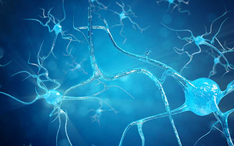 ela-un-estudio-revela-cambios-moleculares-en-la-ela-que-provocan-una-excitabilidad-neuronal-anormal