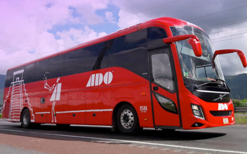 ela-directo-a-la-aventura-en-carretera-lineas-de-autobuses-que-tienen-descuentos-para-pcd