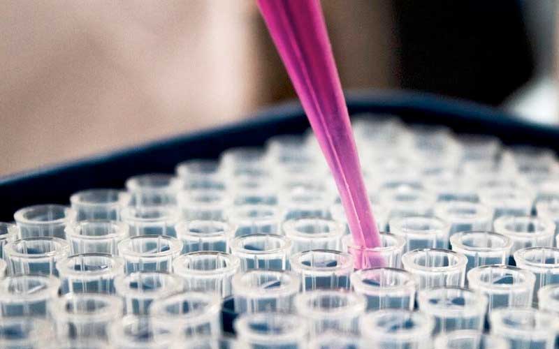 ela-fabrican-neuronas-listas-para-su-uso-en-ela-a-partir-de-celulas-de-la-piel